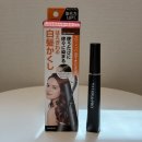 늘 살롱(,NEUL salon) | 살롱드프로 새치커버 마스카라 내돈내산 라이트 브라운 사용 후기