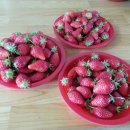 장현농장 이미지