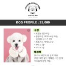 스튜디오쉽독 네이버블로그