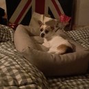 파도식탁 이미지