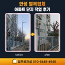 현수동 | 안성 벌목업체 아파트 단지 작업 후기