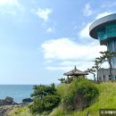 양남자전거