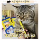 마이펫 | 가성비 고양이인생츄르, 비마이펫 삼색츄 급여후기!