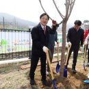 작은나무 이미지