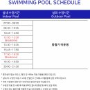 서울 호캉스 추천 노보텔 앰배서더 동대문 슈페리어 더블룸, 실내수영장 이용 후기