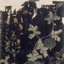 신사임당 이미지