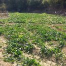 장원부동산공인중개사사무소 이미지