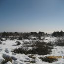 2012년 1월 14~15일 제주도 한라산 산행 안내 이미지