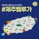 하모리-41 이미지