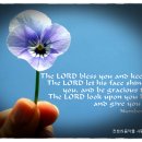 May The Good Lord Bless And Keep You/Tammy Wynette 이미지