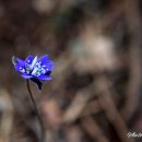 보덕사길 이미지