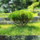 시왕목장 이미지