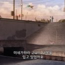 청춘돼지 - 남양주시 | 청춘돼지