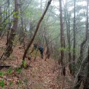 가제산 정상 이미지