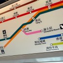 (야간)라인댄스 리듬타고 Go | [홍콩]홍콩 디즈니랜드 완전 정복💫 오픈런부터 야경까지 하루 풀코스 리뷰