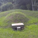 남율농장 이미지