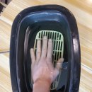 시청곧바른의원 | 손목건초염 설마 방치하시나요?