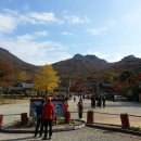 가을여행 이미지