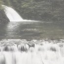 몸의형태 이미지