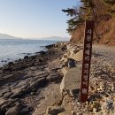 화석 2002 이미지