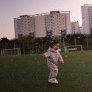 도원체육공원 테니스장 이미지