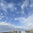 굿모닝Car | 스페인 바르셀로나 - 1일차