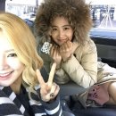풍성유리 이미지