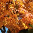 장미아파트 이미지