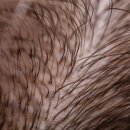 성가의원 이미지