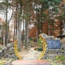 국민은행 맞은편 이미지