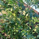 슬기로운 행정사 사무소 이미지