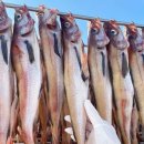 이즈스포츠클럽 이미지