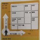 피노키오 복싱 이미지