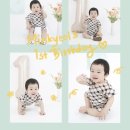 모이모이 이미지