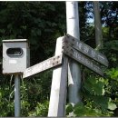 대운산 내원암 계곡 이미지