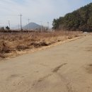 생림공인중개사사무소 이미지