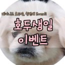 호두맘
