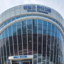 아나카페고래 | 장생포 고래마을 수국축제 및 아나카페 고래마을점