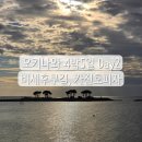 M.W FITNESS 3호점 | 오키나와 4박 5일 Day2, 오키나와북부 비세후쿠길 / 카진호피자