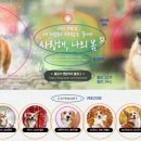 디자인35 이미지