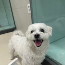 돌담 동물의료센터 이미지