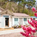 별빛은하수펜션 이미지