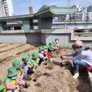 천연동 주민센터 이미지