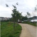 중등수학지도사2급(자격증) 이미지