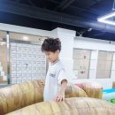 백두태권도전문도장(태권) | [봉담 내리지구 태권도] 주말행사 후기 — 미니운동회 &amp; 태권바운스