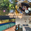 계곡과 수영장 둘 다 있는 양평 펜션 - 해피스토리펜션