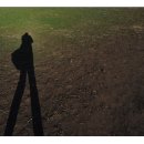 소남머리 이미지