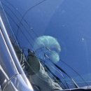 옥포만상회 이미지