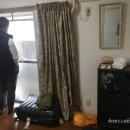 개나리민박 이미지