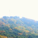 남산철탑 이미지